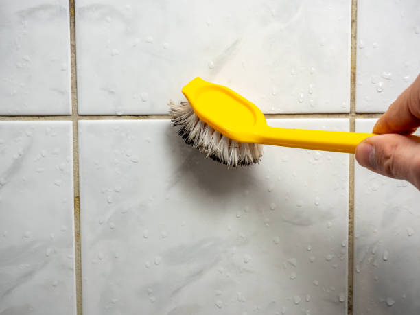 Mold Testing and Removal in Southern Gateway, VA