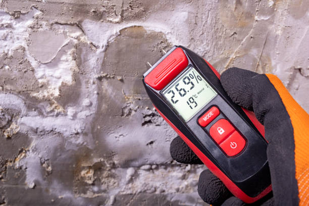 Best Office Mold Removal Services  in Southern Gateway, VA